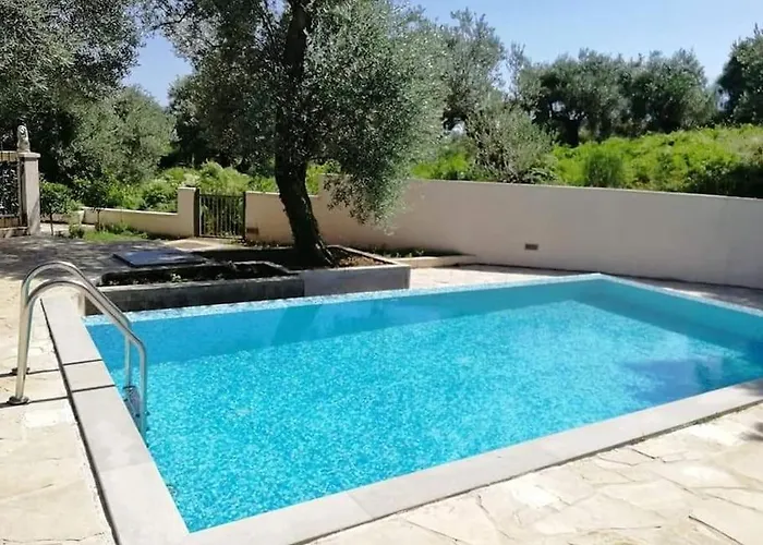 Zen Olive Retreat