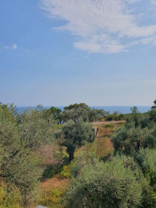 Zen Olive Retreat Daire *