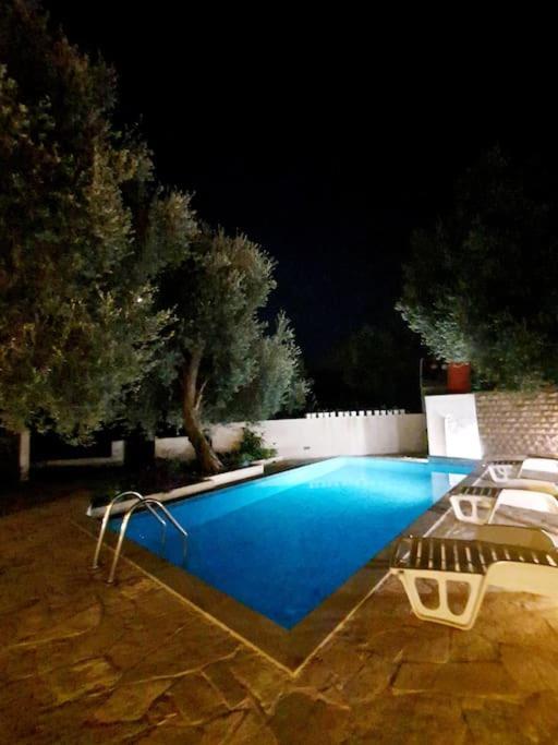 Daire Zen Olive Retreat *