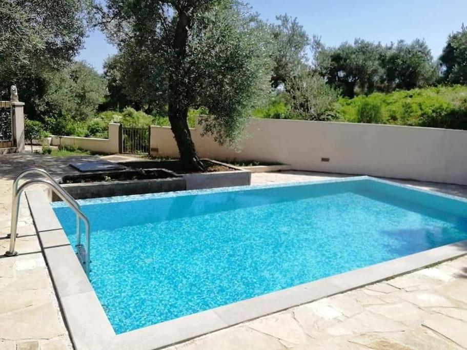 Zen Olive Retreat Daire Petrovac